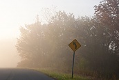 Foggy Turn